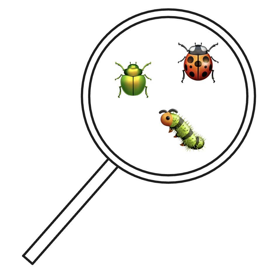 Software testing helps us find bugs in our code which otherwise may go unseen.